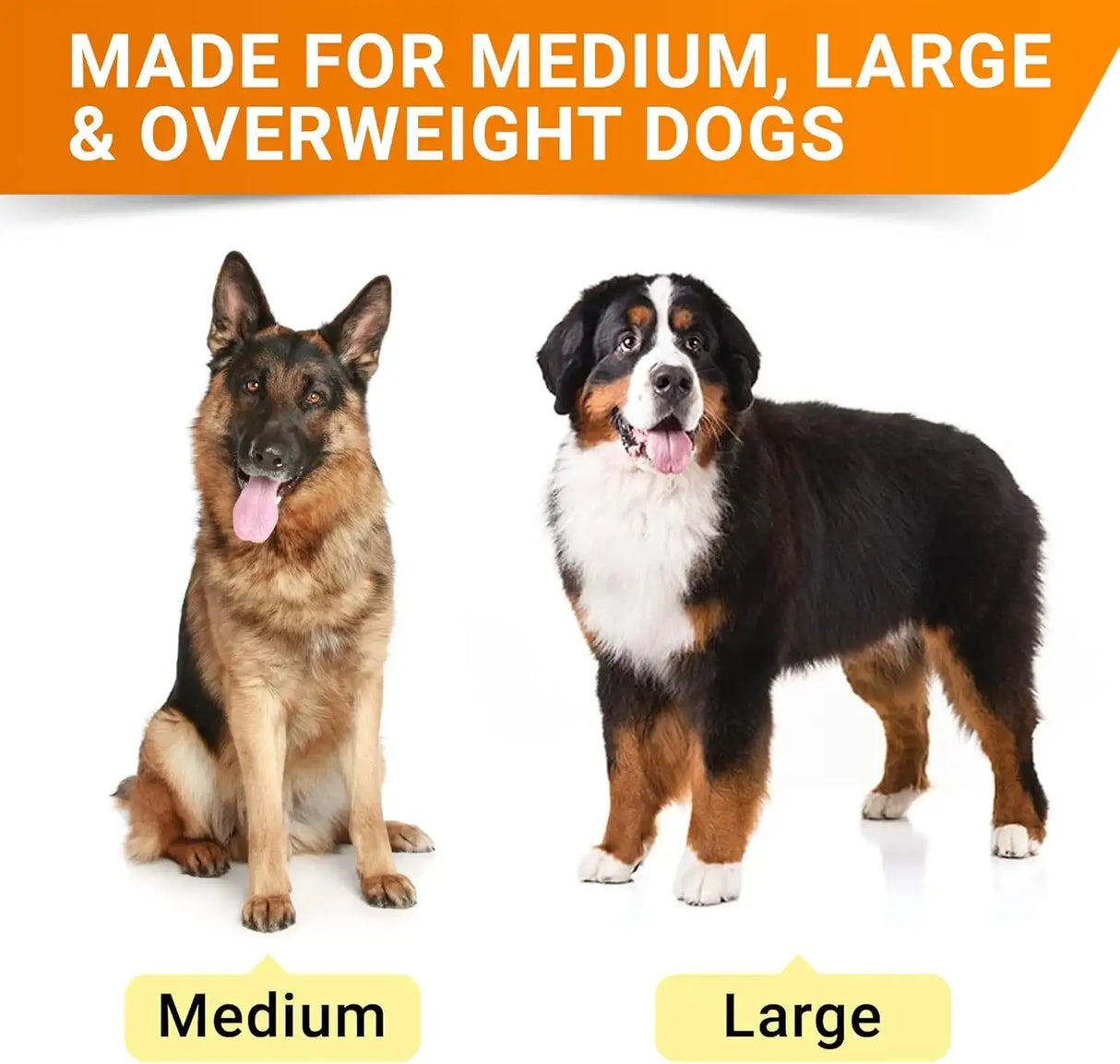 STRELLALAB - STRELLALAB Senior Advanced Glucosamine Chondroitin Joint for Dogs Bacon Flavor 120 Masticables 2 Pack - The Red Vitamin MX - Cuidado De Cadera Y Articulaciones Para Perros - {{ shop.shopifyCountryName }}