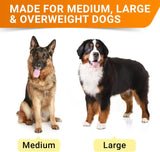 STRELLALAB - STRELLALAB Senior Advanced Glucosamine Chondroitin Joint for Dogs Bacon Flavor 120 Masticables 2 Pack - The Red Vitamin MX - Cuidado De Cadera Y Articulaciones Para Perros - {{ shop.shopifyCountryName }}