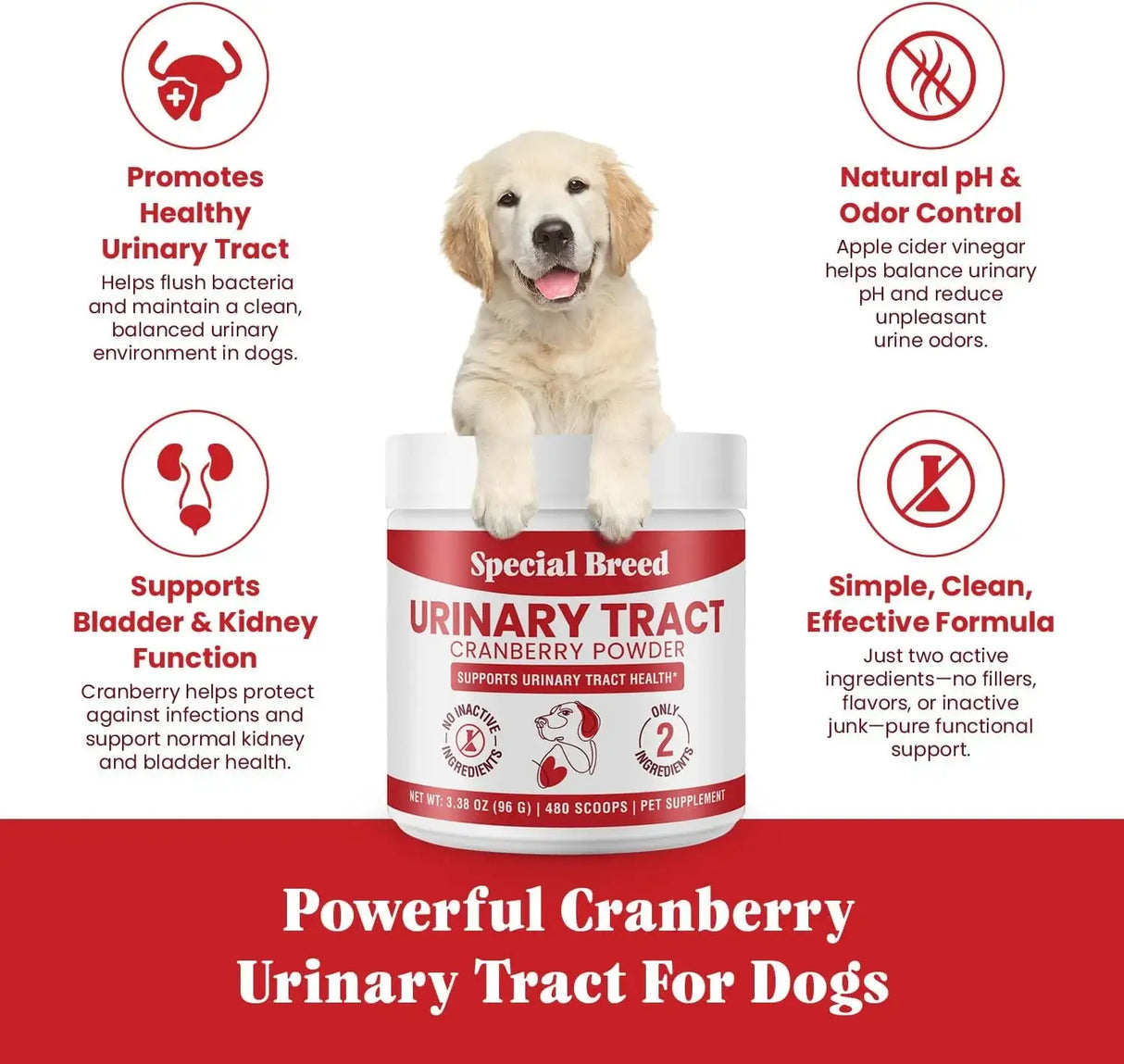SPECIAL BREED - Special Breed Urinary Tract Health Cranberry for Dogs 96Gr. - The Red Vitamin MX - Salud De Tracto Urinario Para Perros - {{ shop.shopifyCountryName }}