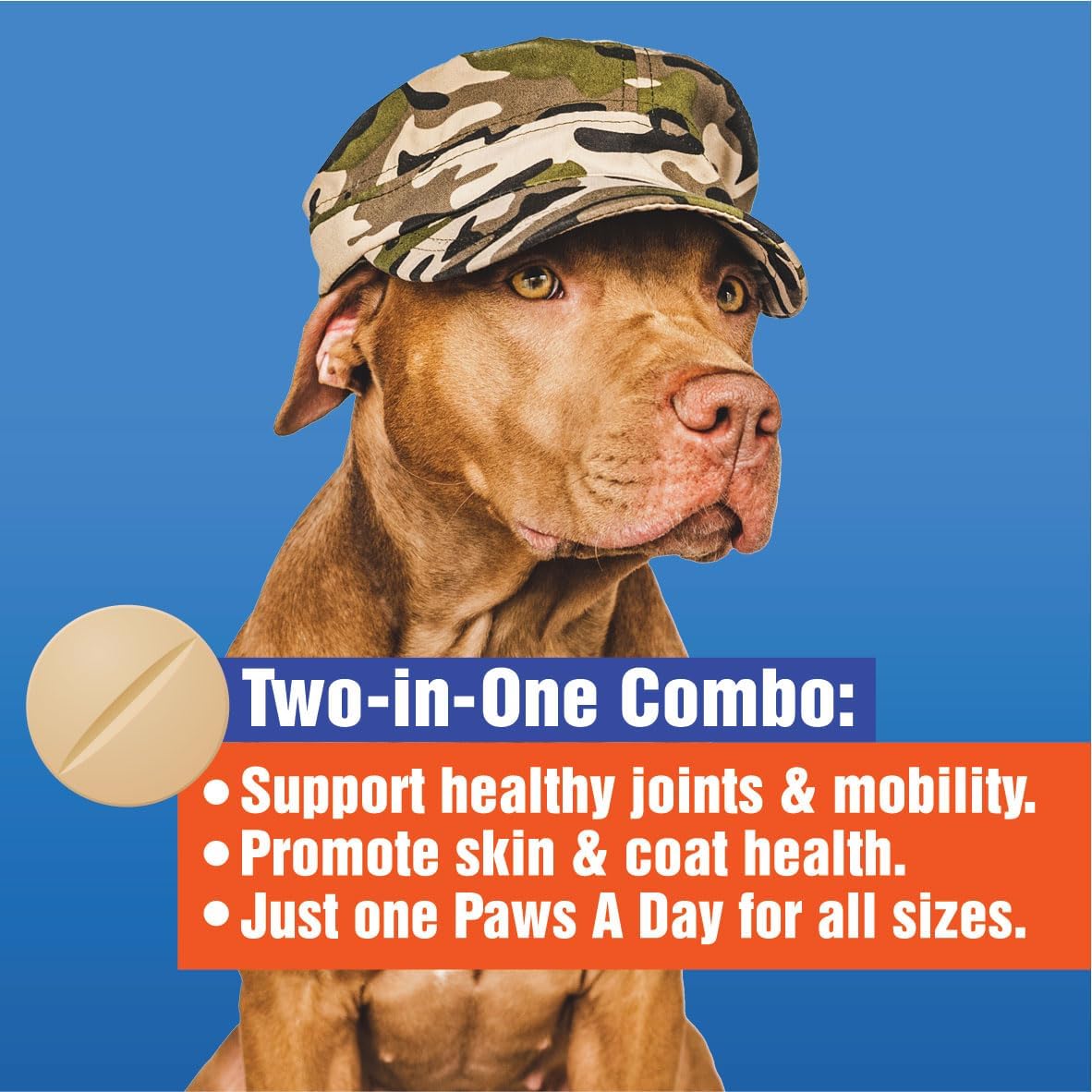 Paws A Day Glucosamine for Dogs Hip & Joint Supplement 60 Masticables
