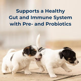 PETAG - Pet-Ag PetLac Powder for Puppies 300Gr. - The Red Vitamin MX - Sustitutos De Leche Para Perros - {{ shop.shopifyCountryName }}