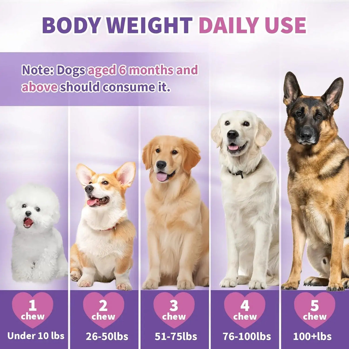 TTIXRL - TTIXRL Calming Melatonin for Dogs 200 Masticables - The Red Vitamin MX - Relajantes Para Perros - {{ shop.shopifyCountryName }}