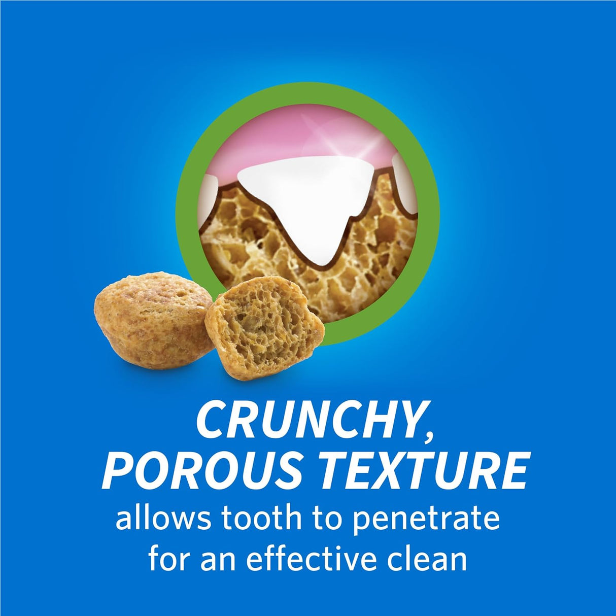 Purina DentaLife Made in USA Facilities Cat Dental Treats 19 Oz.