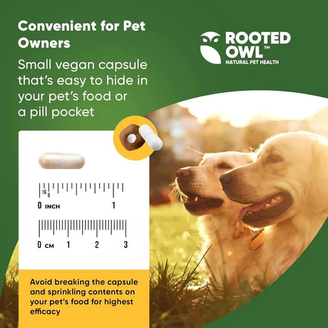 ROOTED OWL - Rooted Owl Turmeric Supplement for Dogs 60 Capsulas - The Red Vitamin MX - Cuidado De Cadera Y Articulaciones Para Perros - {{ shop.shopifyCountryName }}