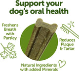 WELLNESS WHIMZEES - WHIMZEES Wellness Freshzees Dog Dental Treats Small Size Stick 28 Piezas - The Red Vitamin MX - Cuidado Dental Para Perros - {{ shop.shopifyCountryName }}