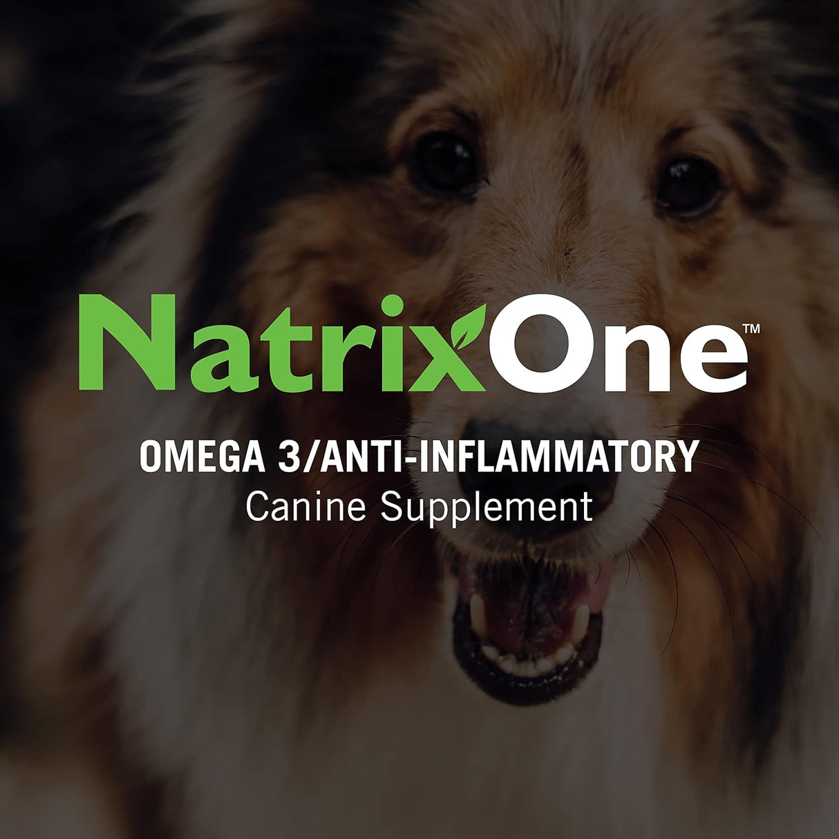 NatrixOne Omega 3 for Dogs 16 Fl.Oz.