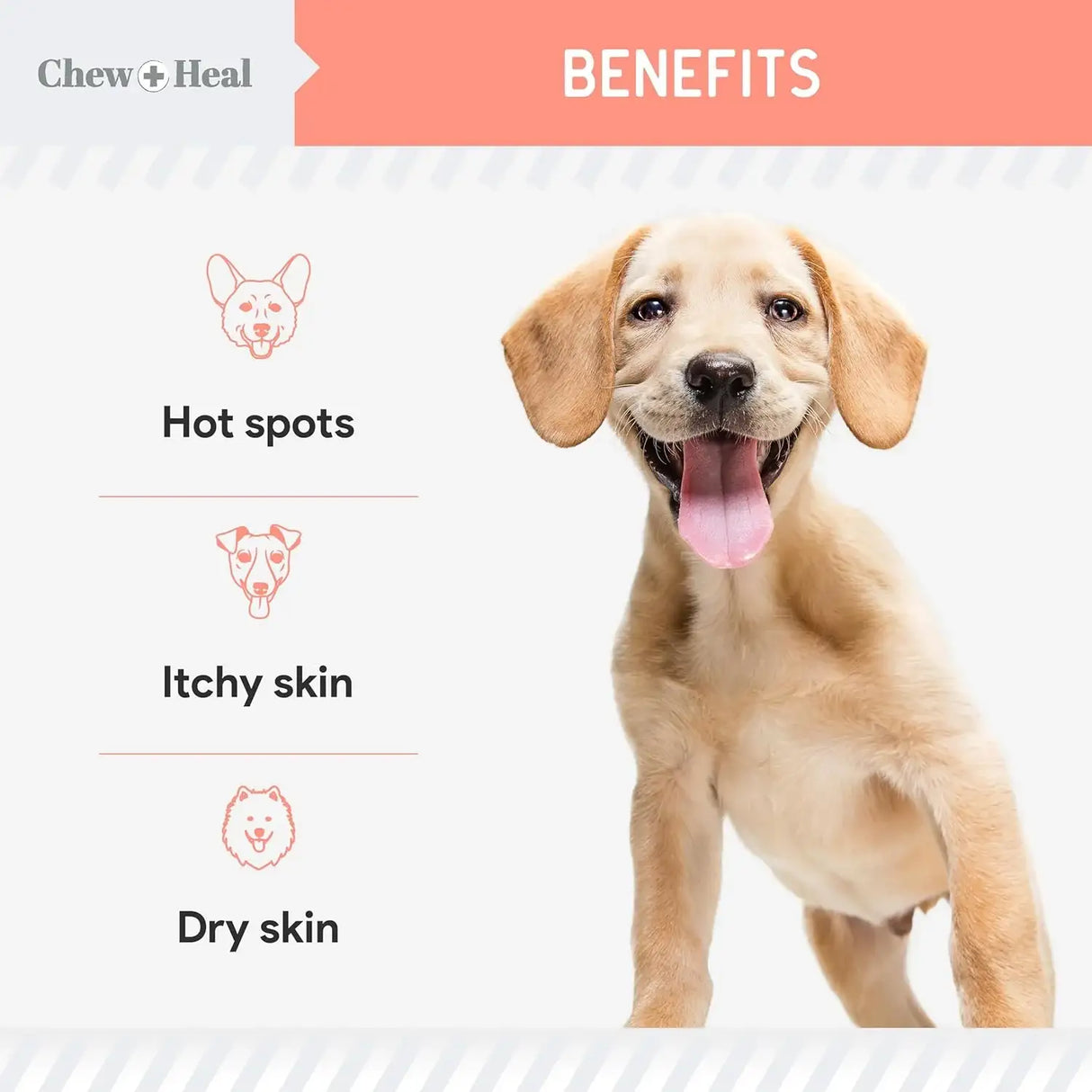 CHEW + HEAL - Chew + Heal Labs Natural Hot Spot Treatment for Dogs 2 Fl.Oz. - The Red Vitamin MX - Remedios Para La Picazón De Perros - {{ shop.shopifyCountryName }}