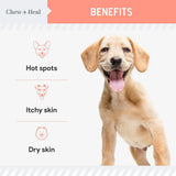 CHEW + HEAL - Chew + Heal Labs Natural Hot Spot Treatment for Dogs 2 Fl.Oz. - The Red Vitamin MX - Remedios Para La Picazón De Perros - {{ shop.shopifyCountryName }}