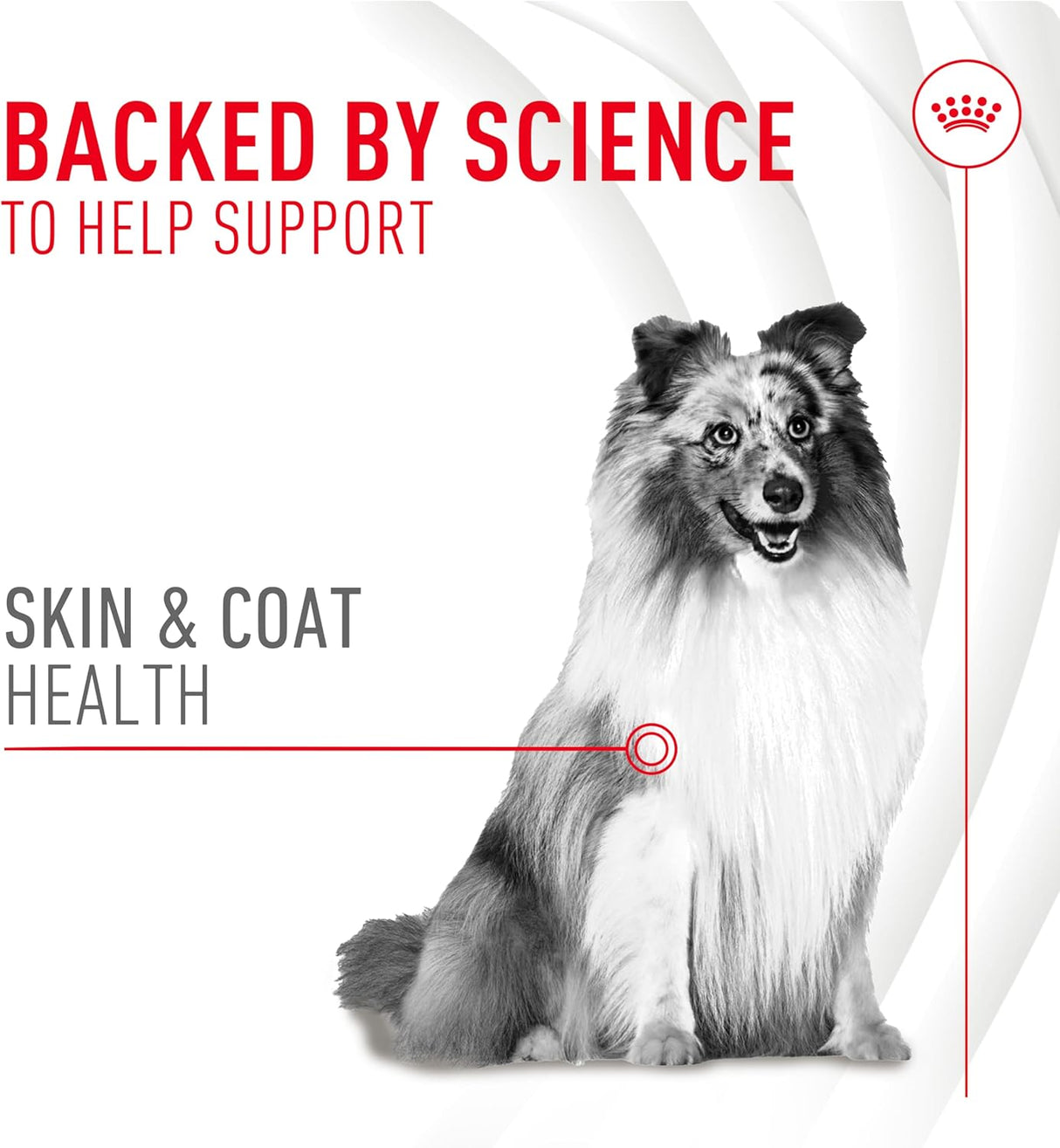 Royal Canin Skin & Coat Supplement Soft Chews for Adult Dogs 60 Masticables