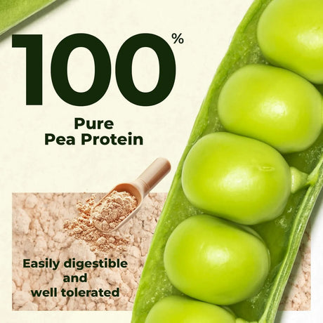 ANGTAI JN - Angtai JN Pea Protein Powder 907Gr. - The Red Vitamin MX - Suplementos Alimenticios - {{ shop.shopifyCountryName }}
