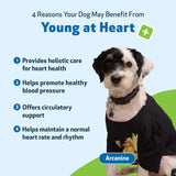 Pet Wellbeing Young at Heart for Dogs 4 Fl.Oz.