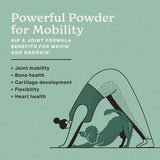 THE MISSING LINK - The Missing Link Hip & Joint + Probiotics Supplement 454Gr. - The Red Vitamin MX - Cuidado De Cadera Y Articulaciones Para Perros - {{ shop.shopifyCountryName }}