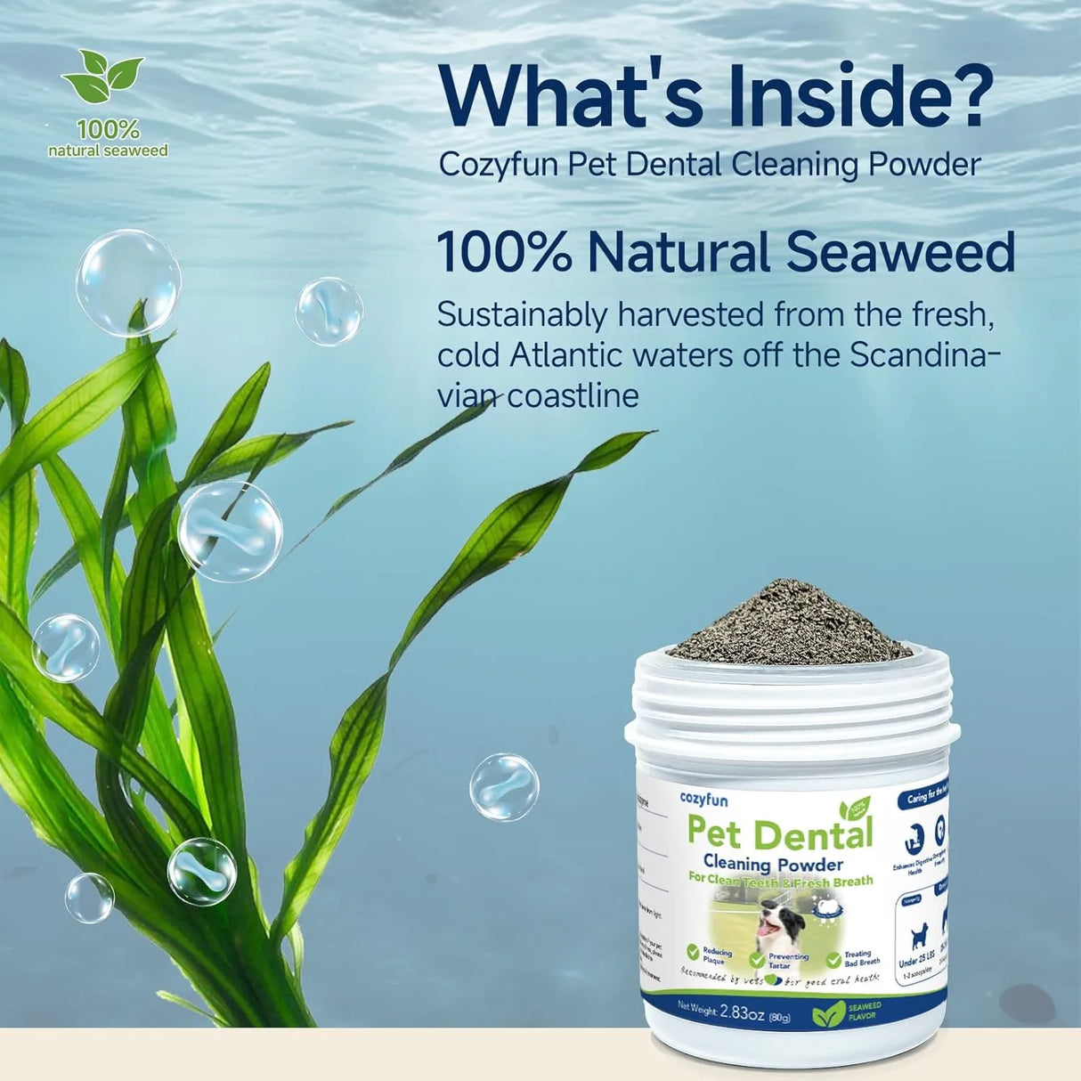 COZYFUN - Cozyfun Dental Powder 80Gr. - The Red Vitamin MX - Cuidado Dental Para Perros - {{ shop.shopifyCountryName }}