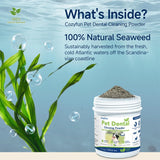 COZYFUN - Cozyfun Dental Powder 80Gr. - The Red Vitamin MX - Cuidado Dental Para Perros - {{ shop.shopifyCountryName }}