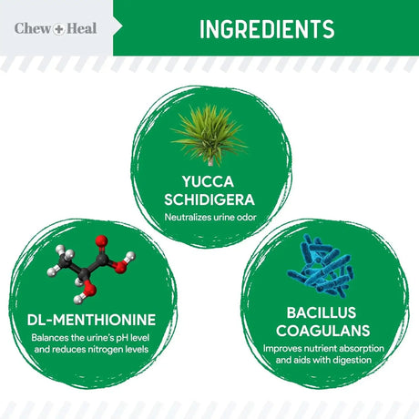 CHEW + HEAL - Chew + Heal Labs Dog Urine Neutralizer for Lawn 120 Masticables - The Red Vitamin MX - Salud De Tracto Urinario Para Perros - {{ shop.shopifyCountryName }}