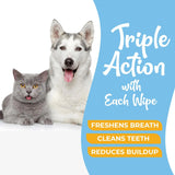 VETWIPE - VetWipe Dog Teeth Cleaning Finger Wipes 50 Toallitas - The Red Vitamin MX - Cuidado Dental Para Perros - {{ shop.shopifyCountryName }}