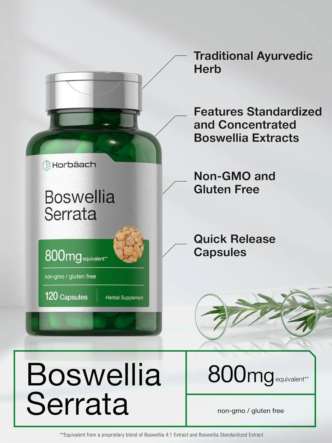 HORBAACH - Horbaach Boswellia Serrata Extract 800Mg. 120 Capsulas - The Red Vitamin MX - Suplementos Alimenticios - {{ shop.shopifyCountryName }}