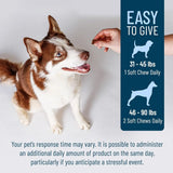 NUTRAMAX - Nutramax Solliquin Calming Behavioral Health Supplement for Large Dogs 75 Masticables - The Red Vitamin MX - Relajantes Para Perros - {{ shop.shopifyCountryName }}