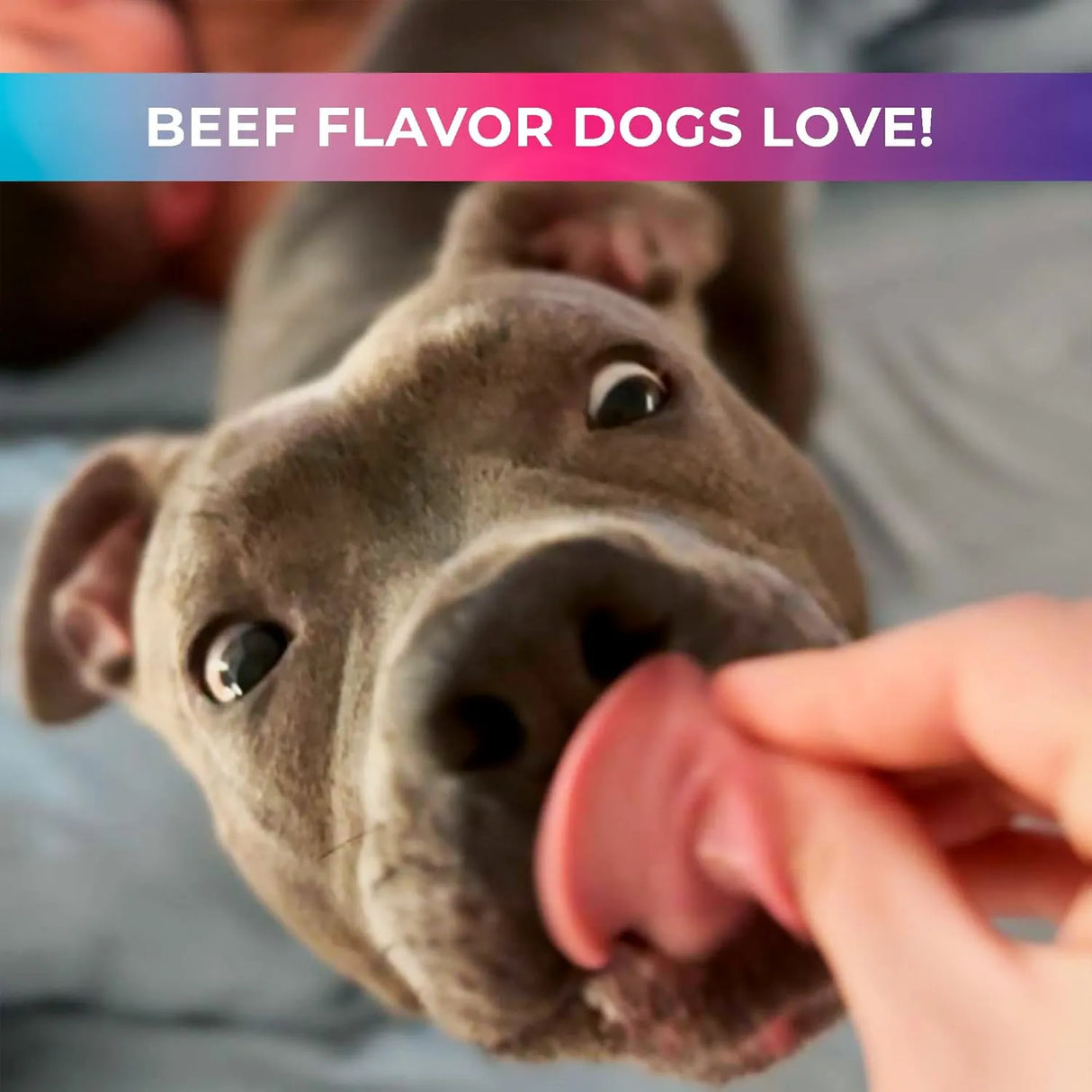 PUP CHOICE - Pup Choice 14-in-1 Multivitamin Treats for Dogs Beef Flavor 140 Masticables - The Red Vitamin MX - Multivitamínicos Para Perros - {{ shop.shopifyCountryName }}