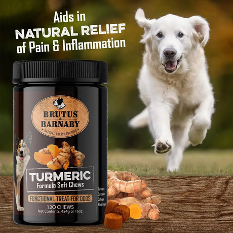 BRUTUS & BARNABY - BRUTUS & BARNABY Turmeric for Dogs 120 Masticables - The Red Vitamin MX - Cuidado De Cadera Y Articulaciones Para Perros - {{ shop.shopifyCountryName }}