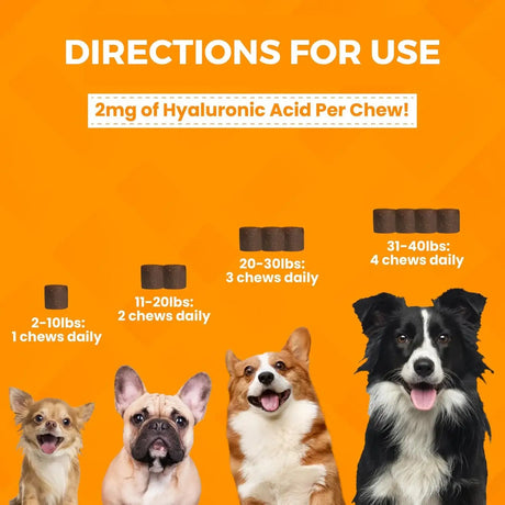 NOOTIE - Nootie Progility Mini Hip & Joint Small & Medium Breed Chew Supplement for Dogs 60 Masticables - The Red Vitamin MX - Cuidado De Cadera Y Articulaciones Para Perros - {{ shop.shopifyCountryName }}