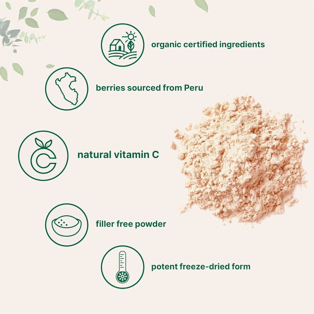 MICRO INGREDIENTS - Micro Ingredients Organic Camu Camu Powder 340Gr. - The Red Vitamin MX - Suplementos Alimenticios - {{ shop.shopifyCountryName }}