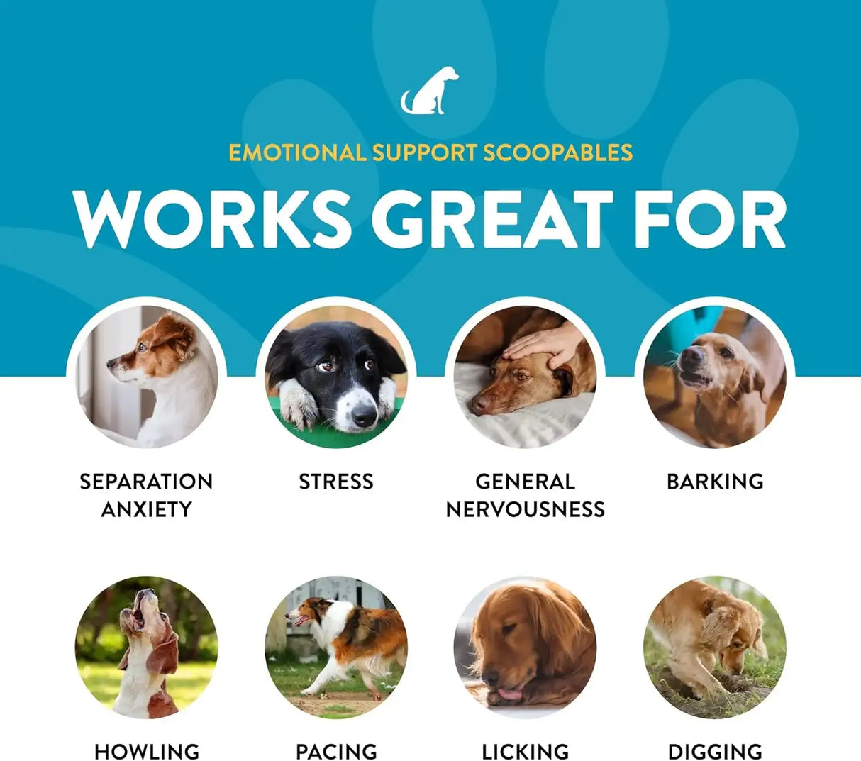 NATURVET - NaturVet Scoopables Emotional Support for Dogs 315Gr. - The Red Vitamin MX - Relajantes Para Perros - {{ shop.shopifyCountryName }}