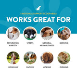 NATURVET - NaturVet Scoopables Emotional Support for Dogs 315Gr. - The Red Vitamin MX - Relajantes Para Perros - {{ shop.shopifyCountryName }}