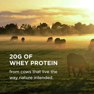 SOLGAR - Solgar Grass Fed Whey to Go Protein Powder Unflavored 2.3 Lb. - The Red Vitamin MX - Suplementos Alimenticios - {{ shop.shopifyCountryName }}