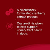 NUTRAMAX - Nutramax Laboratories Crananidin Cranberry Extract Urinary Tract Health Supplement for Dogs 75 Tabletas Masticables - The Red Vitamin MX - Salud De Tracto Urinario Para Perros - {{ shop.shopifyCountryName }}