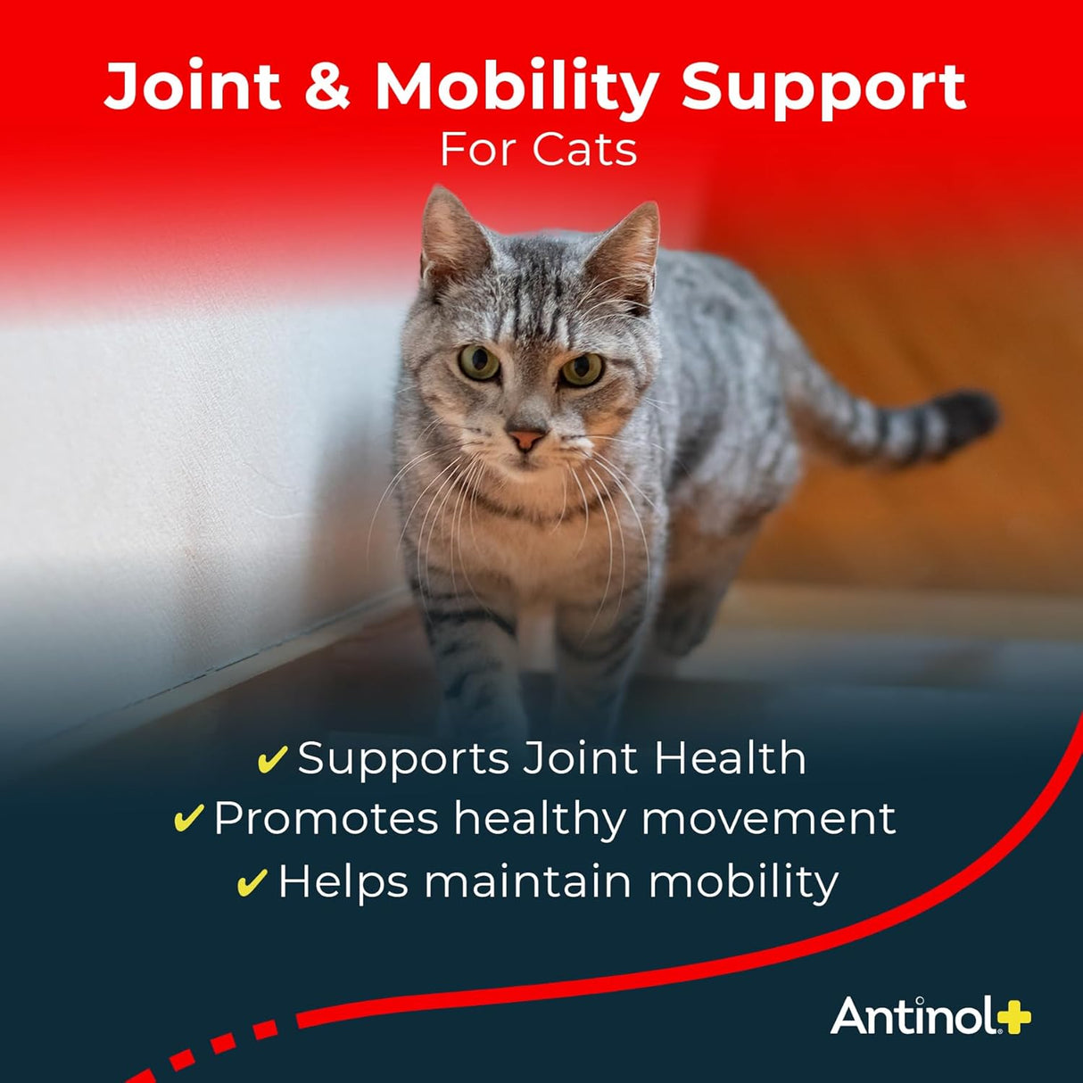 Antinol Plus Mobility Hip and Joint Supplement for Cats 30 Capsulas Blandas 2 Pack