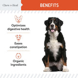 Chew + Heal Labs Organic Pumpkin Powder for Dogs 4 Oz.
