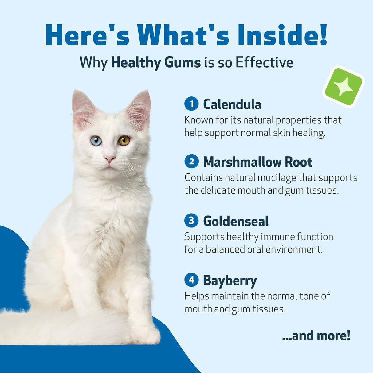 Pet Wellbeing Healthy Gums for Cats 2 Fl.Oz.