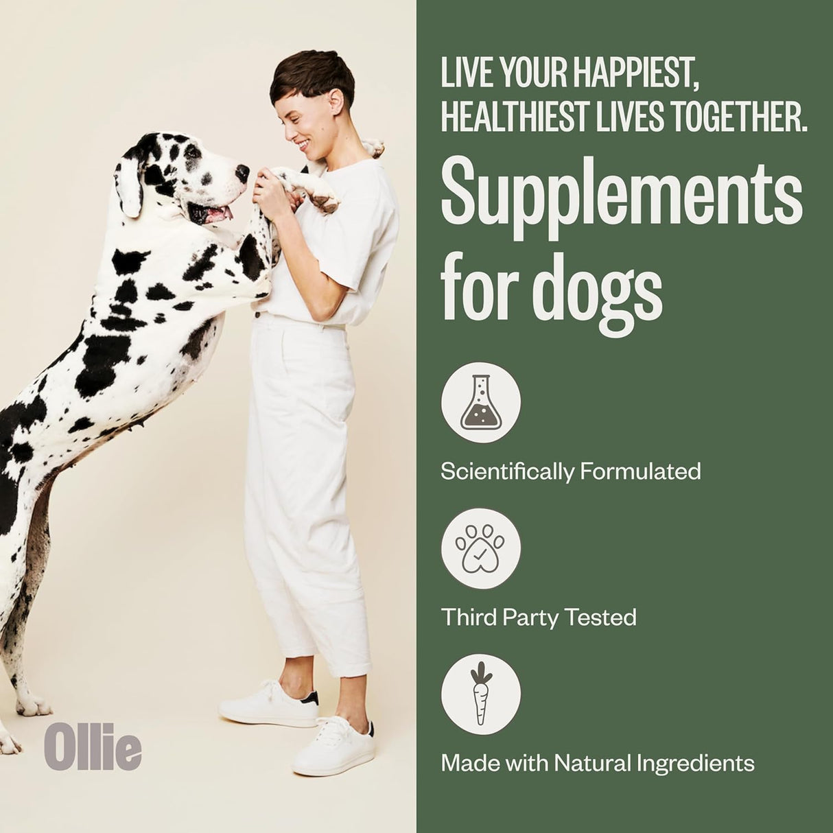 Ollie Probiotic Dog Chews 60 Masticables