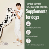 Ollie Probiotic Dog Chews 60 Masticables