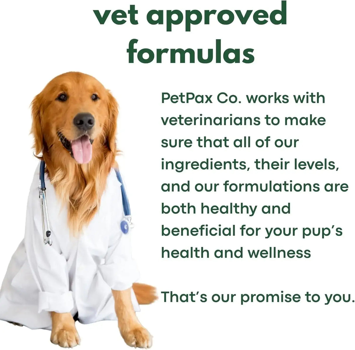 ZENMELTS - ZenMelts Dogs Anxiety Relief Calming 30 Strips - The Red Vitamin MX - Relajantes Para Perros - {{ shop.shopifyCountryName }}