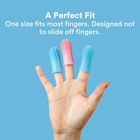 JASPER - Jasper Dog Toothbrush Blue 10 Pack - The Red Vitamin MX - Cuidado Dental Para Perros - {{ shop.shopifyCountryName }}