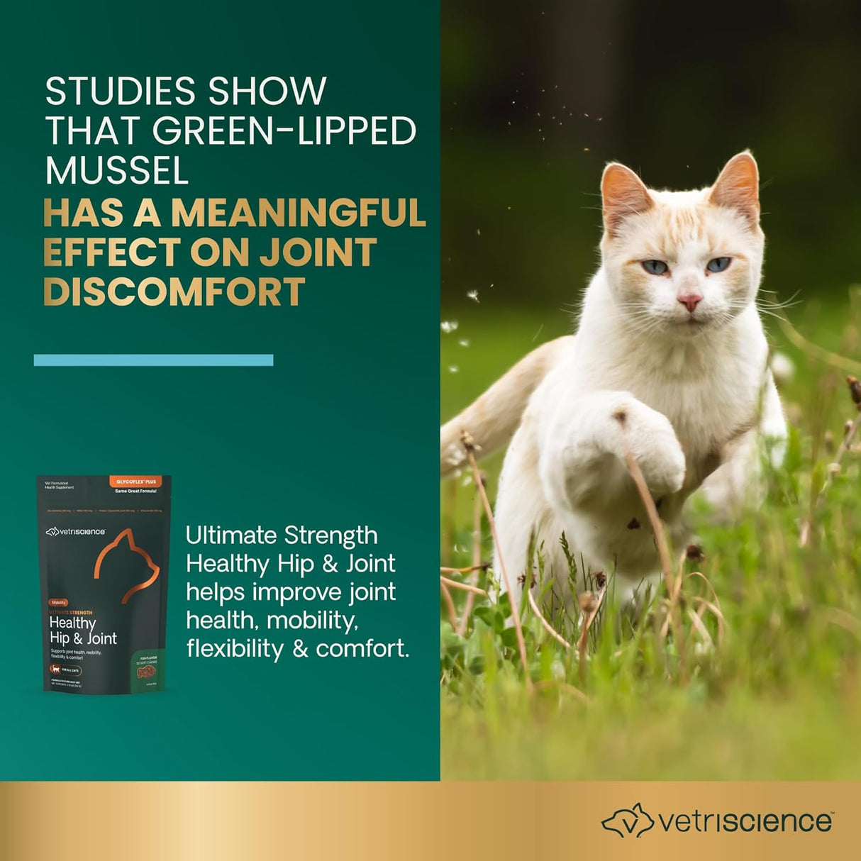VetriScience Ultimate Strength Healthy Hip & Joint Chews Cats Fish Flavor 30 Masticables