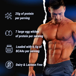 GASPARI NUTRITION - Gaspari Nutrition Proven Egg 100% Egg White Protein Chocolate 453Gr. - The Red Vitamin MX - Suplementos Alimenticios - {{ shop.shopifyCountryName }}