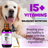 OIMMAL - OIMMAL 15 in 1 Dog Multivitamin Drops for Dogs 2 Fl.Oz. - The Red Vitamin MX - Multivitamínicos Para Perros - {{ shop.shopifyCountryName }}