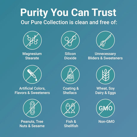MICRO INGREDIENTS - Micro Ingredients Methylated B Complex 240 Capsulas - The Red Vitamin MX - Suplementos Alimenticios - {{ shop.shopifyCountryName }}
