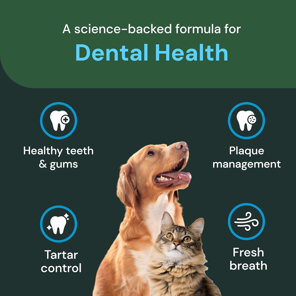 VetriScience Dental Care Powder 453Gr.