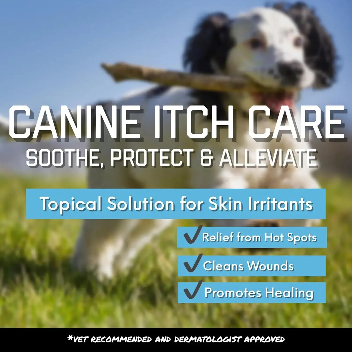 CANINE ITCH CARE - Canine Itch Care Hot Spot Spray & Itch Relief For Dogs and Cats 4 Fl.Oz. - The Red Vitamin MX - Remedios Para La Picazón De Perros - {{ shop.shopifyCountryName }}