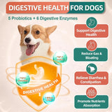 DR FOSTER - DR FOSTER Dog Multivitamin Chicken Flavor 180 Masticables - The Red Vitamin MX - Multivitamínicos Para Perros - {{ shop.shopifyCountryName }}