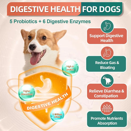 DR FOSTER - DR FOSTER Dog Multivitamin Chicken Flavor 180 Masticables - The Red Vitamin MX - Multivitamínicos Para Perros - {{ shop.shopifyCountryName }}