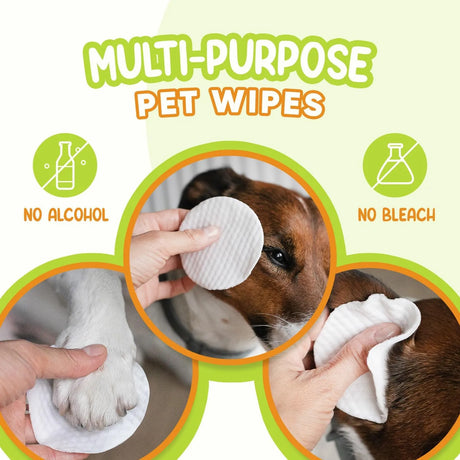 GOECOVITA - GoEcoVita Pet Eye Wipes for Dogs & Cats 100 Toallitas - The Red Vitamin MX - Cuidado De Los Ojos De Los Perros - {{ shop.shopifyCountryName }}