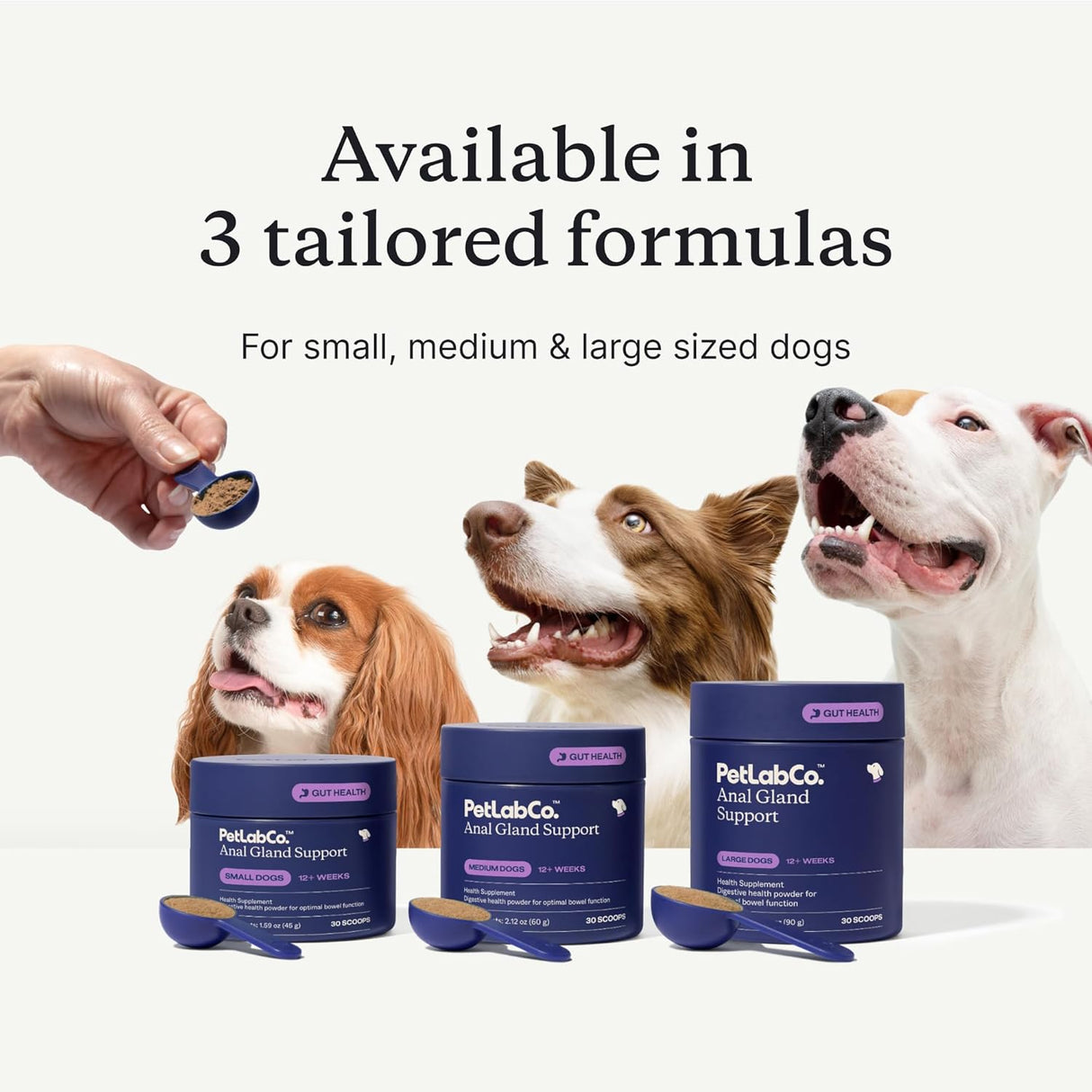 PetLab Co. Anal Gland Support Tailored Powder SMALL Dogs 45Gr.