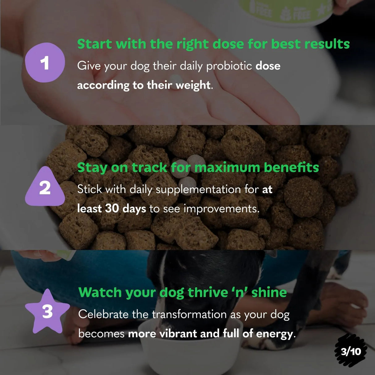 TAILS N TUMMIES - Tails N Tummies Probiotics for Dogs 60 Tabletas - The Red Vitamin MX - Probióticos Para Perros - {{ shop.shopifyCountryName }}