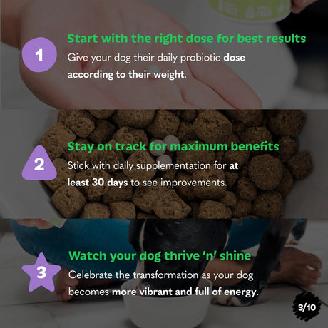 TAILS N TUMMIES - Tails N Tummies Probiotics for Dogs 60 Tabletas - The Red Vitamin MX - Probióticos Para Perros - {{ shop.shopifyCountryName }}