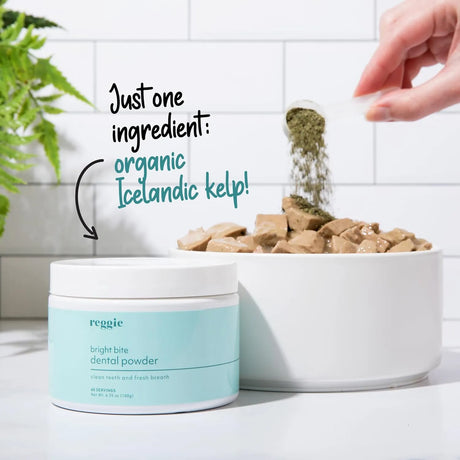 REGGIE - Reggie Bright Bite Dental Powder for Dogs 60 Servicios - The Red Vitamin MX - Cuidado Dental Para Perros - {{ shop.shopifyCountryName }}